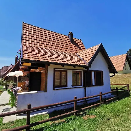 公寓 Vikendica Dana 米特洛瓦克